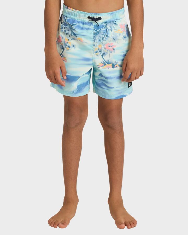 Image of a model wearing Shorts. Productname: Quiksilver Boys 8-16 Everyday 14" Swim Shorts Horizon Blue Tropical Surf - in Horizon Blue Tropical Surf colour by brand - Quiksilver