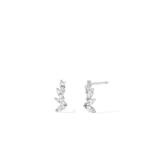 Image of Earrings. Productname: Cubic Zirconia Marquise Cluster Stud Earrings in Sterling Silver in Silver colour by brand - Bevilles