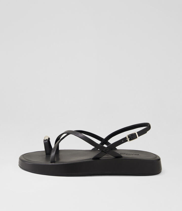 Image of Sandals. Productname: Anews Black Silver Leather Sandals in Black-Silver colour by brand - MOLLINI