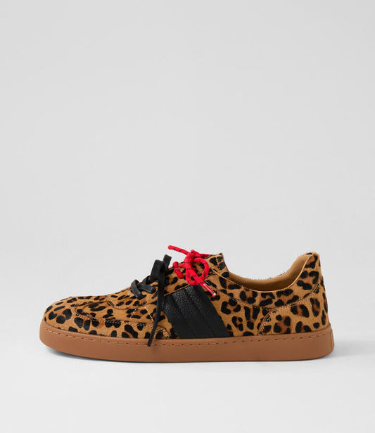Image of Sneakers. Productname: Harvey Leopard Black Leather Sneakers in LEOPARD-BLACK colour by brand - MIDAS