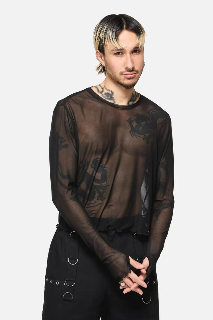 Image of a model wearing Tops. Productname: Batz Cropped Mesh Top in Black colour by brand - Dangerfield