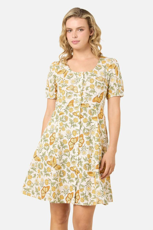 Image of Dresses. Productname: Yvette Butterfly Mini Dress in Cream colour by brand - Princess Highway