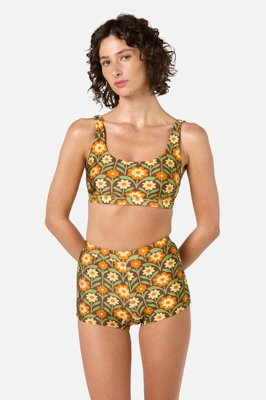 Image of Swimwear. Productname: Cleo Bikini Top in Chocolate colour by brand - Princess Highway