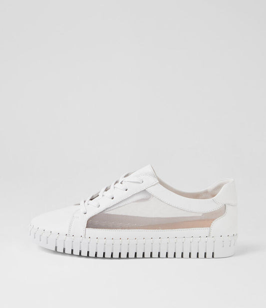 Image of Sneakers. Productname: Henry White Leather Sneakers in WHITE-WHITE SOLE colour by brand - MIDAS