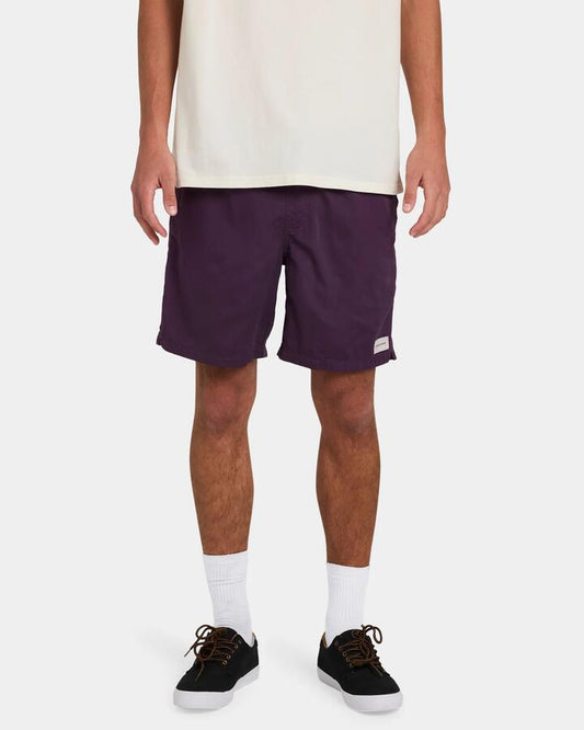 Image of Swimwear. Productname: Von Zipper Mens Salty Dogs Boardshorts Deep Plum - in Deep Plum colour by brand - Von Zipper