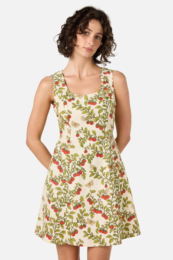 Image of Dresses. Productname: Cherry Tomatoes Mini Dress in Cream colour by brand - Princess Highway