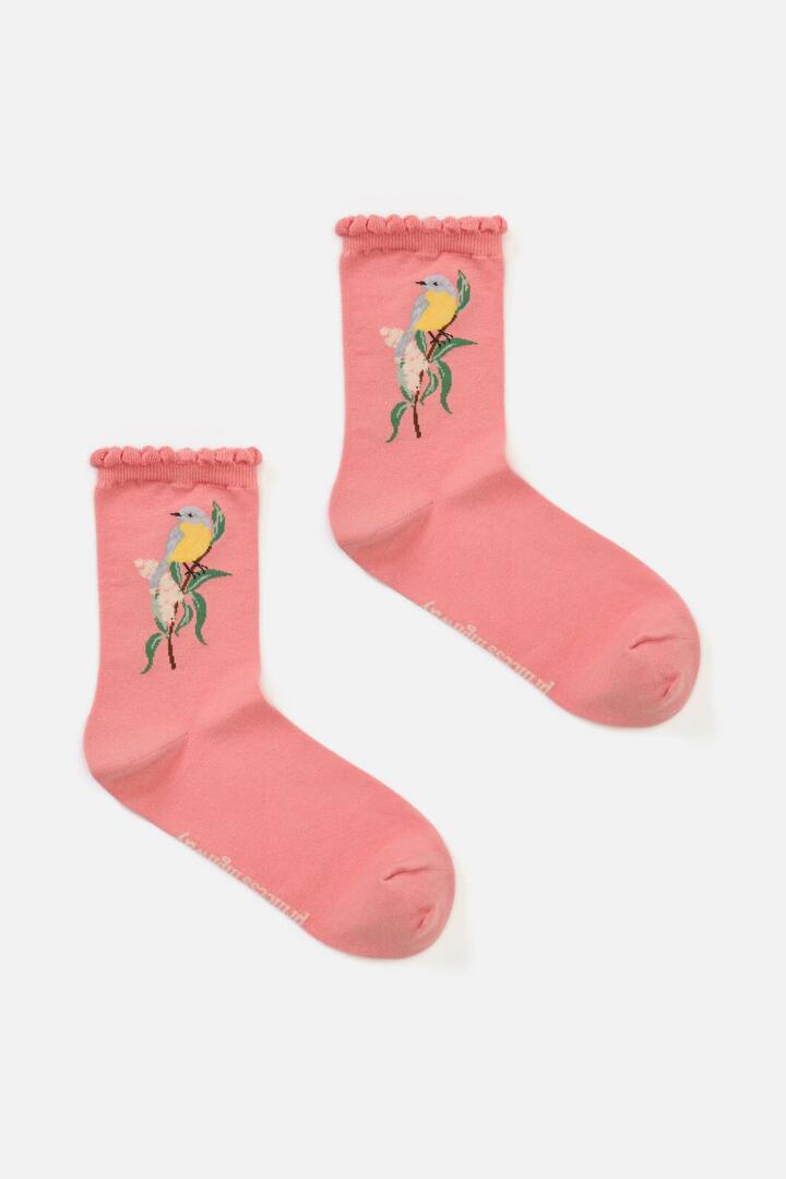 Image of Socks. Productname: Eastern Yellow Robin Sock in Pink colour by brand - Princess Highway