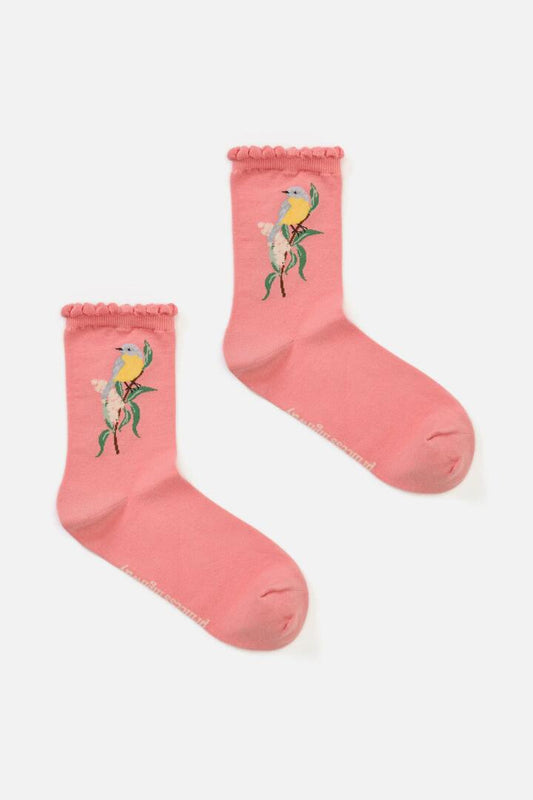 Image of Socks. Productname: Eastern Yellow Robin Sock in Pink colour by brand - Princess Highway