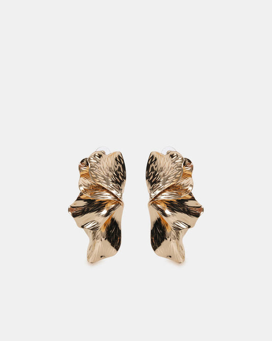 Image of Earrings. Productname: Earring - Deen: Metallic - Women's Earrings in Metallic colour by brand - Novo