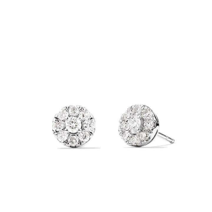 Image of Earrings. Productname: Cluster Halo Stud Earrings with 0.50tw of Laboratory-Grown Diamonds in Sterling Silver and Platinum in Diamond colour by brand - Bevilles
