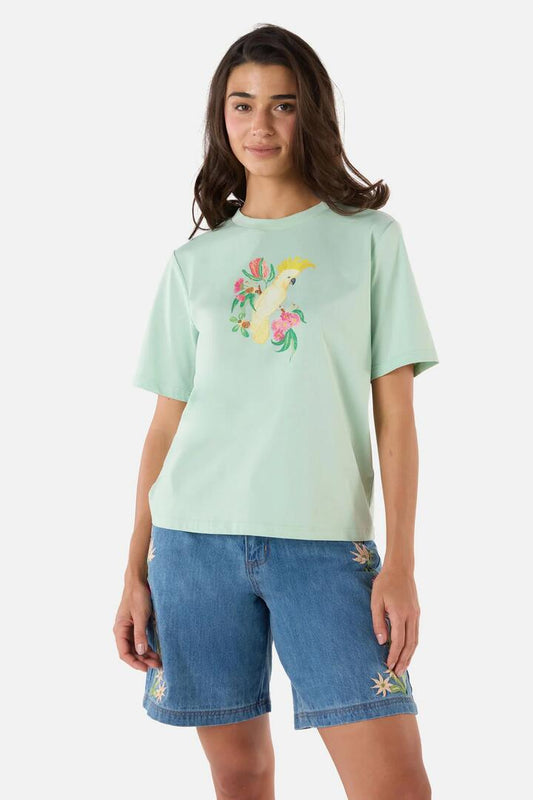 Image of a model wearing Tops. Productname: Cute Cockatoo Relaxed Tee in Teal colour by brand - Princess Highway