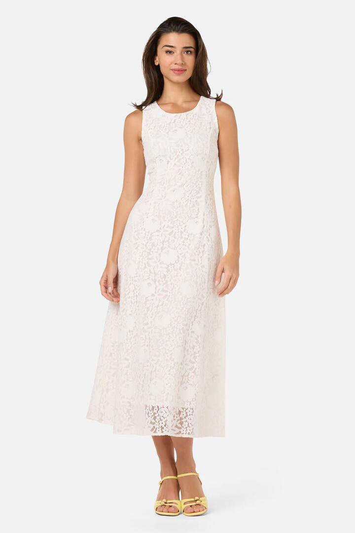 Image of Dresses. Productname: Dreamy White Lace Midi Dress in White colour by brand - Princess Highway