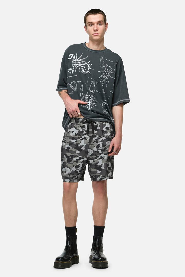 Image of Others. Productname: Disruptive Camo Trunk in Grey colour by brand - Dangerfield