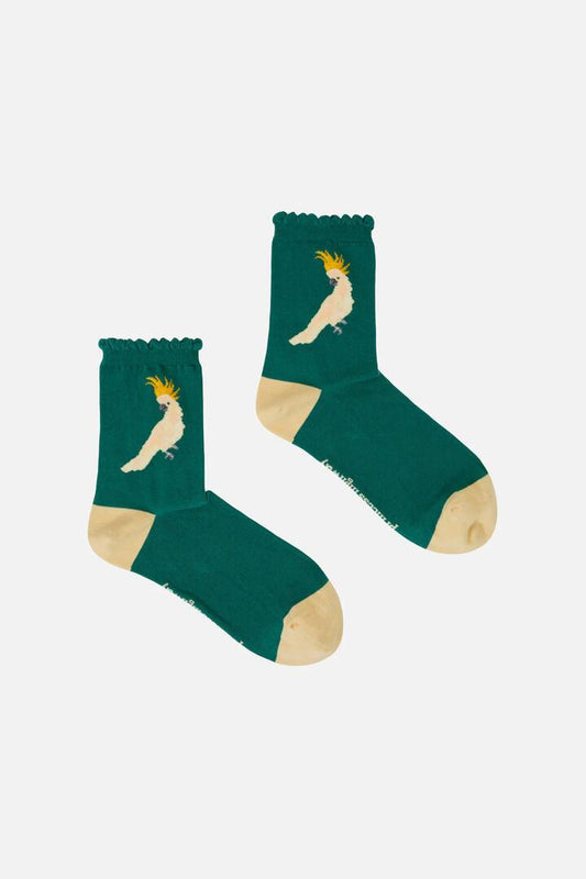 Image of Socks. Productname: Cockatoo Sock in Teal colour by brand - Princess Highway