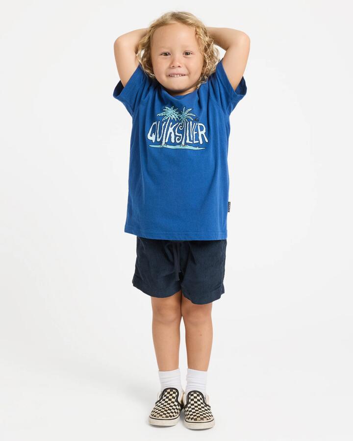 Image of T-Shirts. Product name - Quiksilver Boys 2-7 Shadey Days T-Shirt Monaco Blue in Monaco Blue colour by brand - Quiksilver