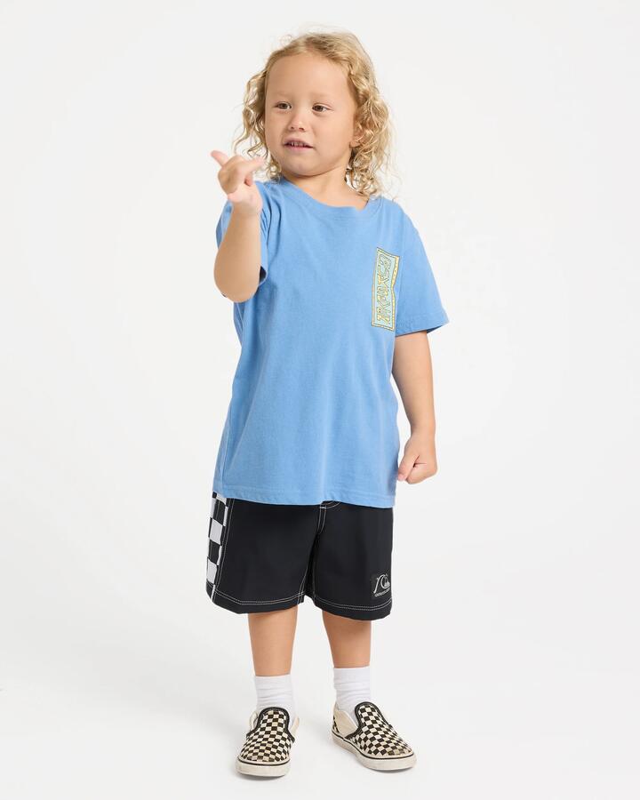 Image of T-Shirts. Product name - Quiksilver Boys 2-7 Radical Times T-Shirt Riviera in Riviera colour by brand - Quiksilver
