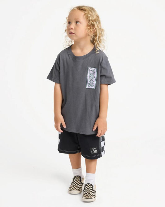 Image of T-Shirts. Product name - Quiksilver Boys 2-7 Radical Times T-Shirt Iron Gate in Iron Gate colour by brand - Quiksilver