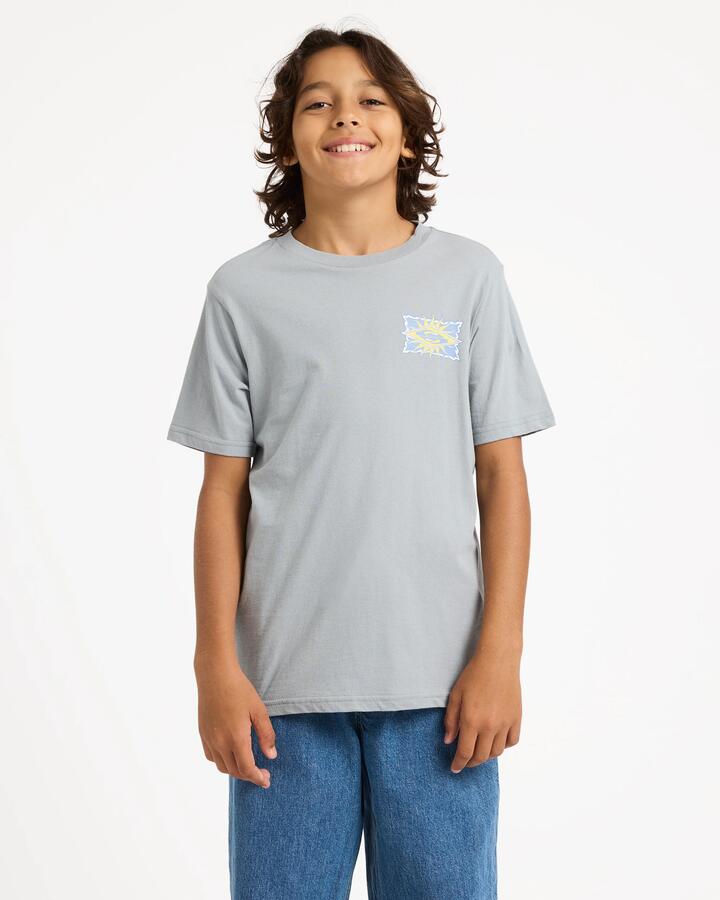 Image of T-Shirts. Product name - Quiksilver Boys 8-16 Starfish Stamp T-Shirt Quarry in Quarry colour by brand - Quiksilver