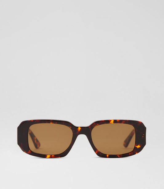 Image of Sunglasses. Productname: Eve Tortoiseshell Acetate Sunglasses in Tortoiseshell colour by brand - MOLLINI
