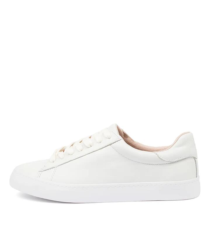 Image of Sneakers. Productname: Session White Leather Sneakers in White colour by brand - MOLLINI