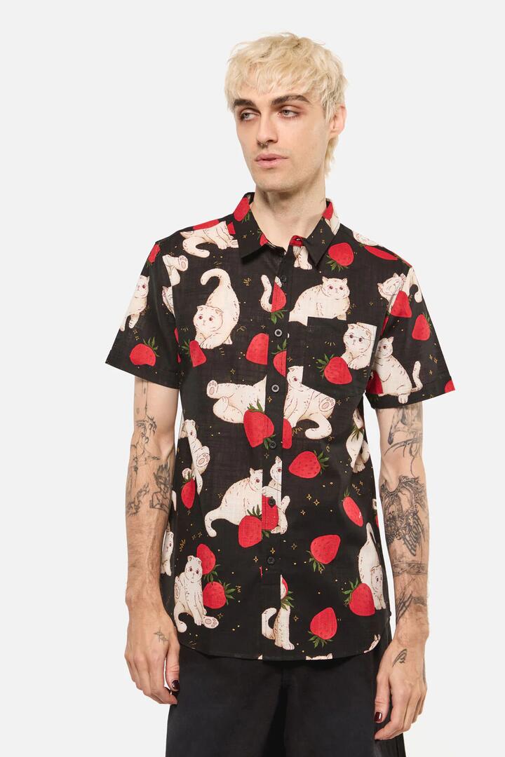 Image of Shirts. Productname: Strawberry Cats SS Shirt in Green colour by brand - Dangerfield