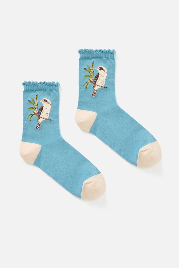 Image of Socks. Productname: Kookaburra Sock in Blue colour by brand - Princess Highway