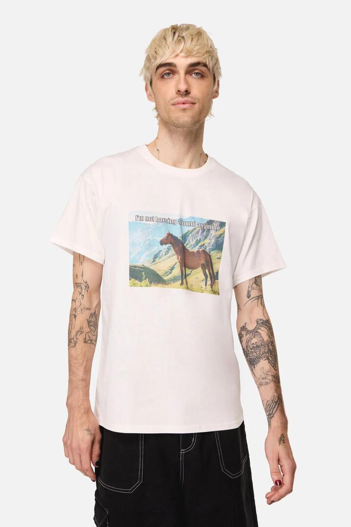 Image of T-Shirts. Productname: Not Horsing Around Tee in White colour by brand - Dangerfield