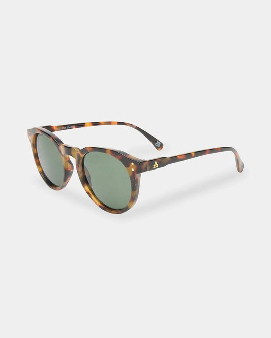 Image of Sunglasses. Productname: aire Nucleus Sunglasses Dark Tort - in Dark Tort colour by brand - Aire
