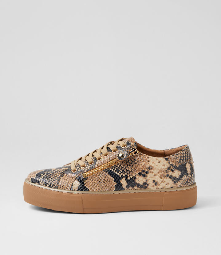 Image of Sneakers. Productname: Feema Black Caramel Snake Leather Sneakers in Black&Caramel Snake colour by brand - MIDAS