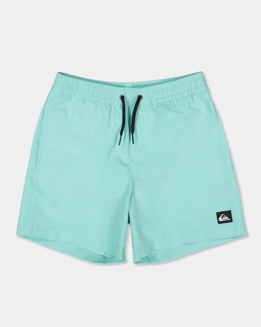 Image of a model wearing Shorts. Productname: Quiksilver Boys 8-16 Everyday Volley 14" Swim Shorts Aqua Sky - in Aqua Sky colour by brand - Quiksilver