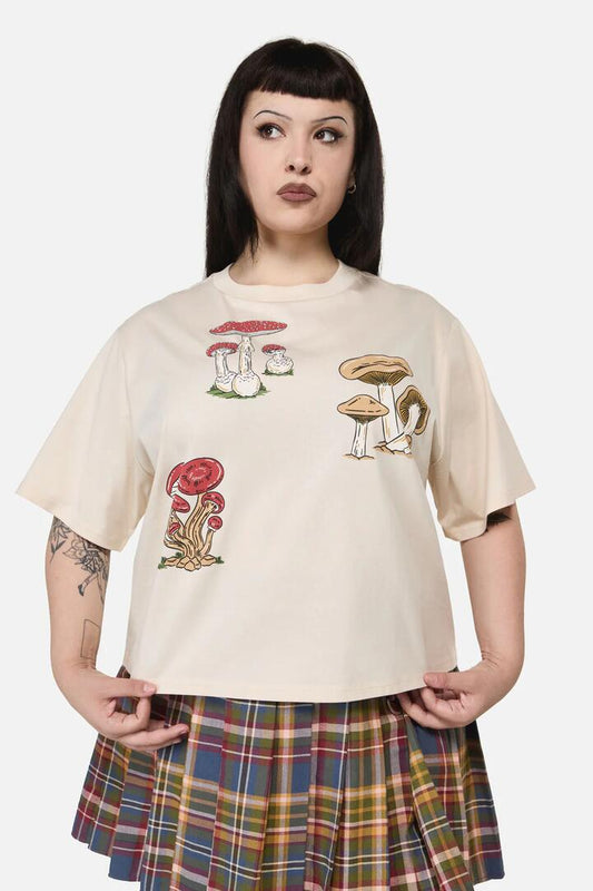 Image of a model wearing Tops. Productname: Curve Mushie Print Tee in Cream colour by brand - Dangerfield