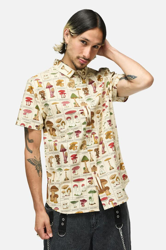 Image of Shirts. Productname: Fungus SS Shirt in Cream colour by brand - Dangerfield