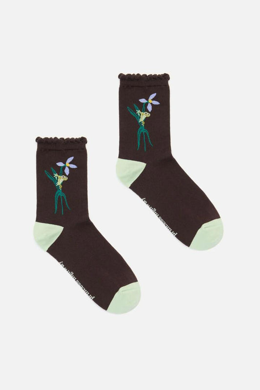 Image of Socks. Productname: Tiana Tree Frog Sock in Chocolate colour by brand - Princess Highway