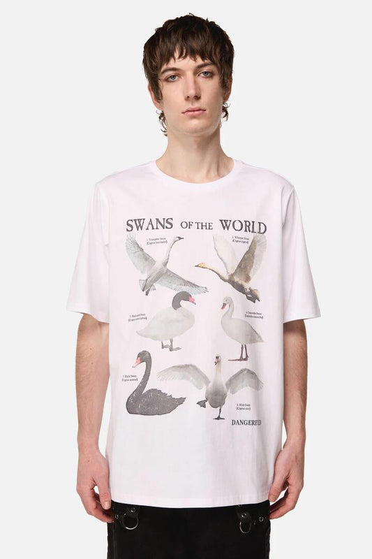 Image of T-Shirts. Productname: Swan Species Tee in White colour by brand - Dangerfield