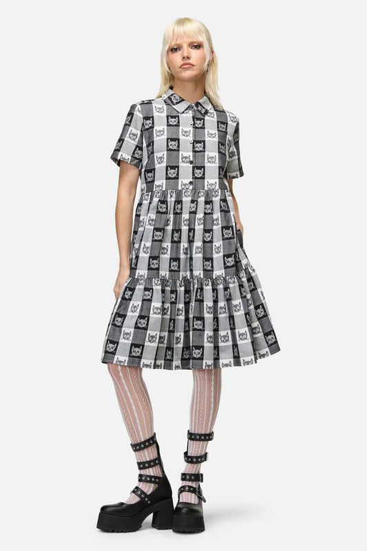 Image of Dresses. Productname: Atomic Cat Dress in Black/White colour by brand - Dangerfield