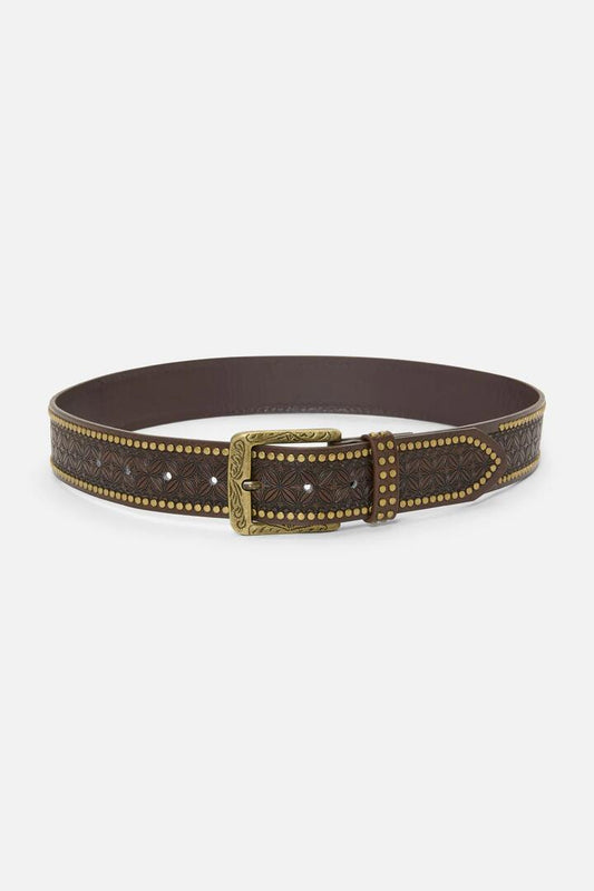 Image of Belts. Productname: Chocolate Embossed Stud Belt in Chocolate colour by brand - Princess Highway