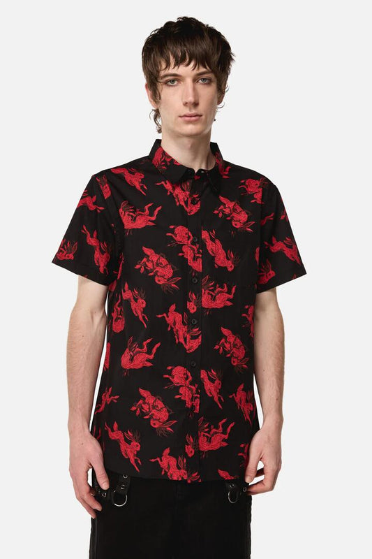 Image of Shirts. Productname: Jackalope Shirt in Black colour by brand - Dangerfield