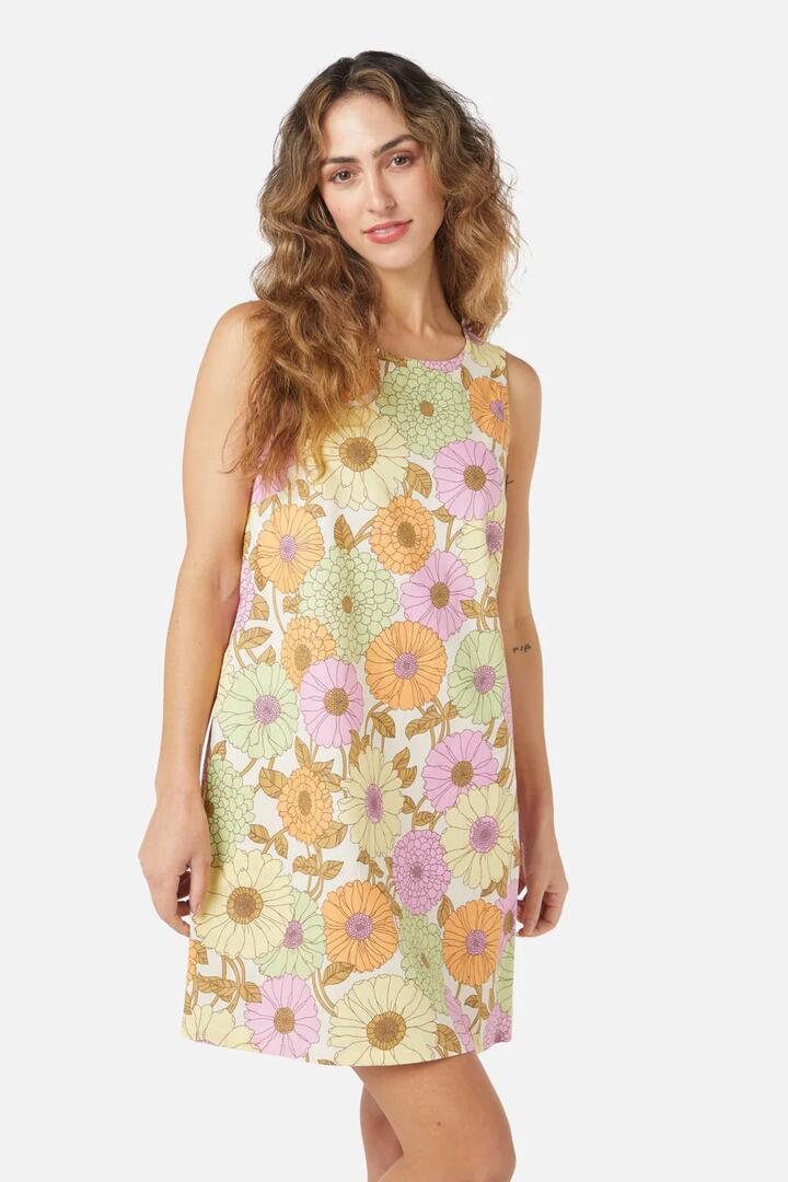 Image of Dresses. Productname: Lottie Shift Dress in Cream colour by brand - Princess Highway