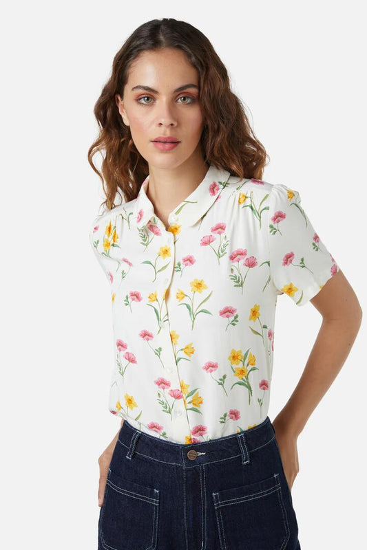 Image of Blouses. Productname: Jacinta Blouse in Cream colour by brand - Princess Highway