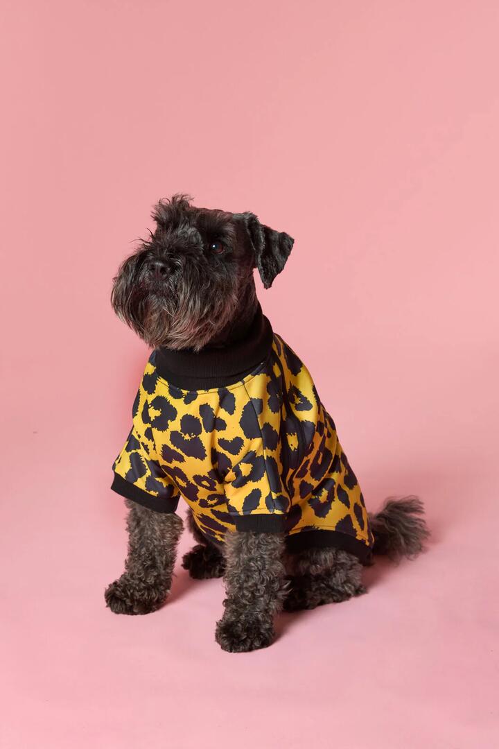 Image of Pet Supplies. Product name - Leopard Terry Pet Jumper in Multi colour by brand - Gorman