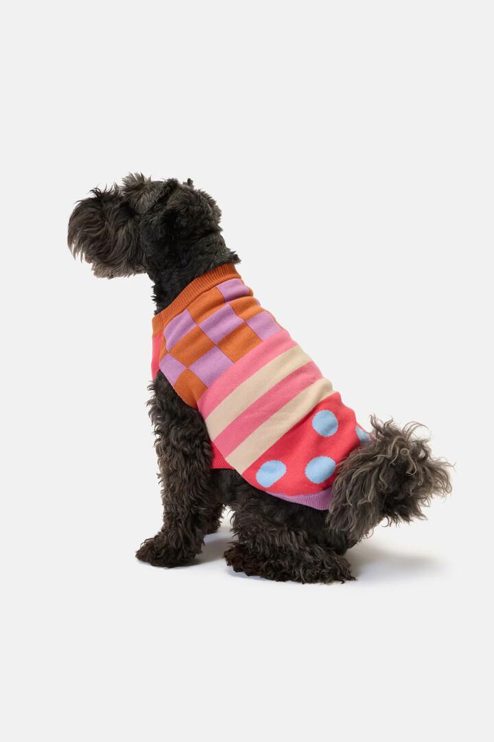 Image of Pet Supplies. Product name - Pattern Party Knitted Dog Jumper in Multi colour by brand - Gorman
