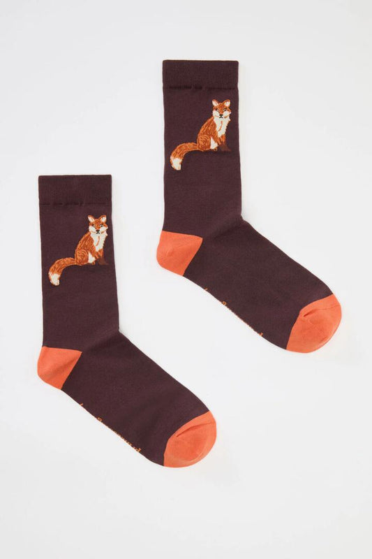 Image of Socks. Productname: Fox Sock in Chocolate colour by brand - Princess Highway
