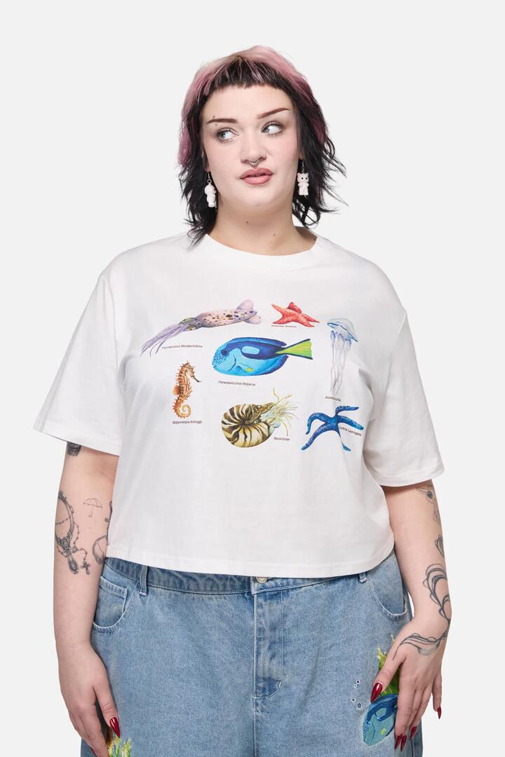 Image of T-Shirts. Productname: Oceanic Tee in Cream colour by brand - Dangerfield