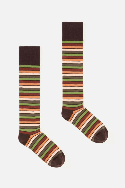 Image of Socks. Productname: Long Stripe Sock in Chocolate colour by brand - Princess Highway