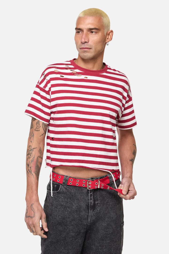 Image of Belts. Productname: Red Cotton Webbing Belt in Red colour by brand - Dangerfield