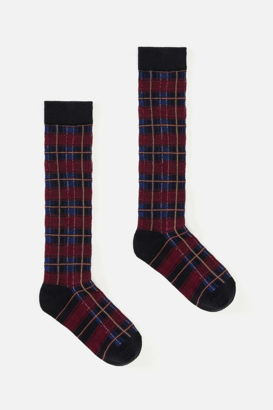 Image of Socks. Productname: Black Long Tartan Socks in Black colour by brand - Dangerfield