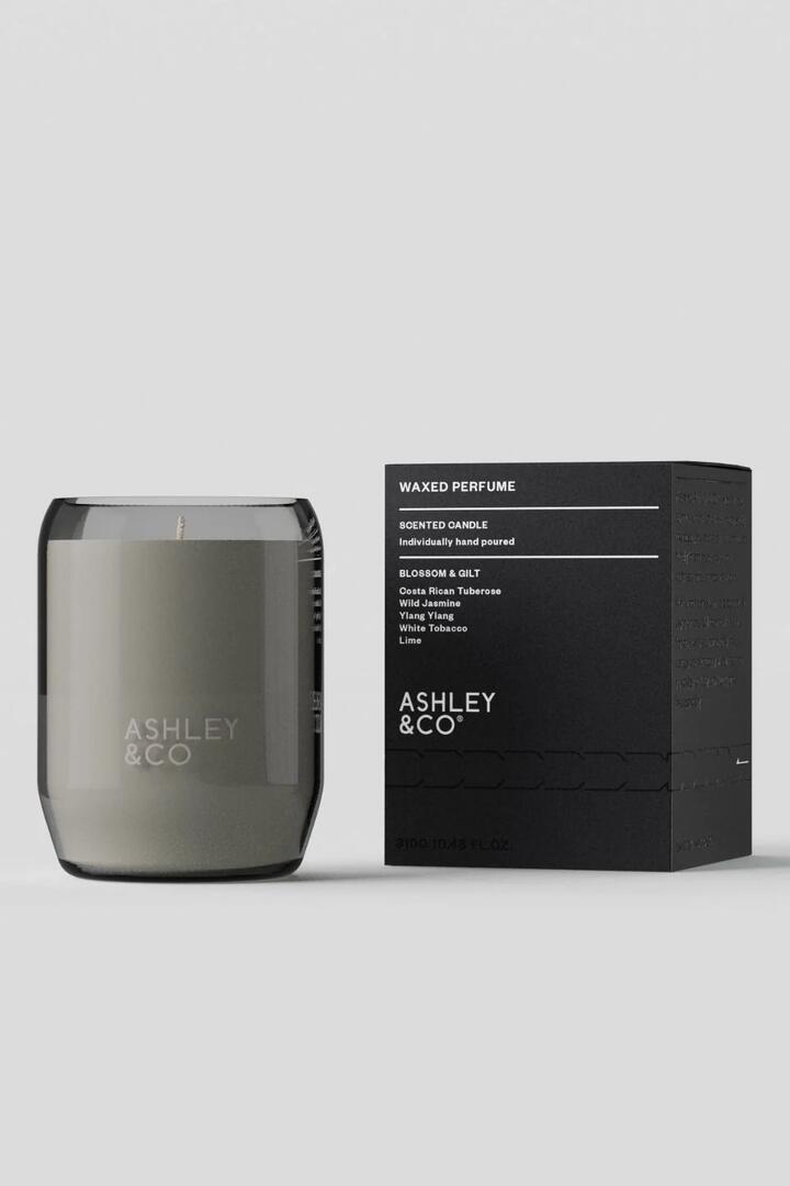 Image of Perfumes & Colognes. Product name - Natural Waxed Blossom + Gilt Perfume Candle in colour by brand - Ashley & Co