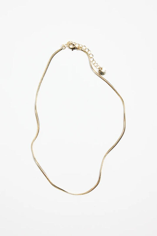 Image of Jewelry. Product name - Classic Snake Chain Gold Necklace in Gold colour by brand - Humble + Heart