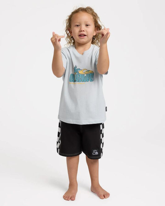 Image of T-Shirts. Product name - Quiksilver Boys 2-7 Palm Time T-Shirt Plein Air in Plein Air colour by brand - Quiksilver