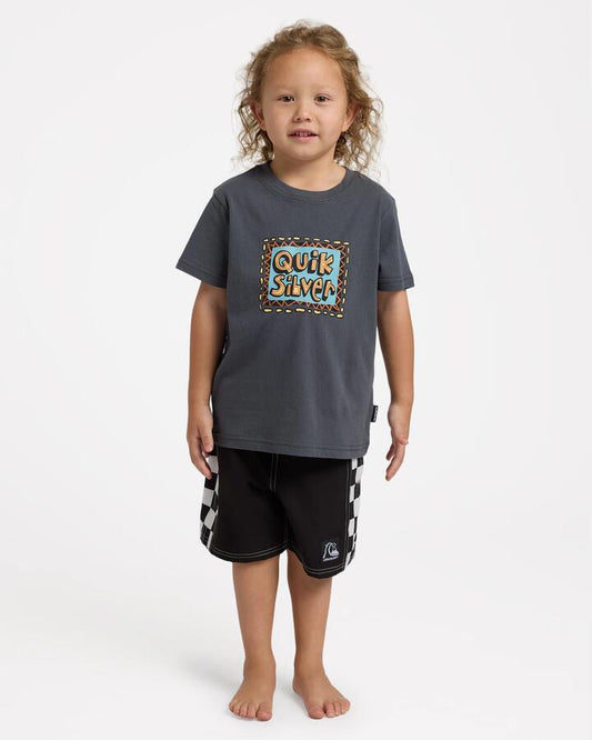 Image of T-Shirts. Product name - Quiksilver Boys 2-7 Retro Stack T-Shirt Iron Gate in Iron Gate colour by brand - Quiksilver